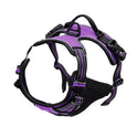 Morado