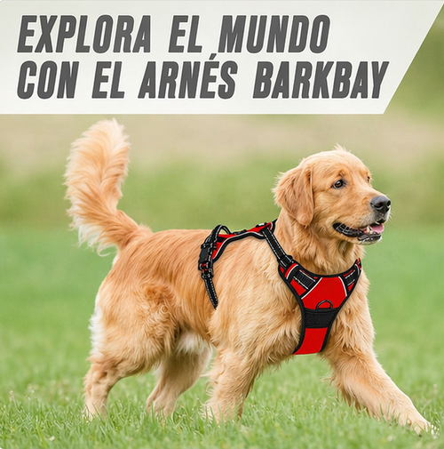 Arnés Antitirones para Perro con Clip Frontal Reflectante y Asa de Control