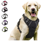 Arnés Antitirones para Perro con Clip Frontal Reflectante y Asa de Control