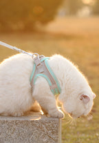 Arnés Chaleco para Perro y Gato Ajustable Reflectante Transpirable