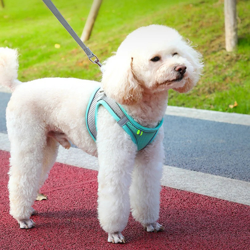 Arnés Chaleco para Perro y Gato Ajustable Reflectante Transpirable