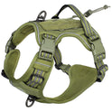 Verde Militar