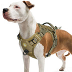 Arnés Táctico para Perro Antitirones MOLLE Ajustable Reflectante