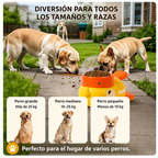 Comedero Interactivo para Perros Dispensador de Premios Puzzle Antideslizante