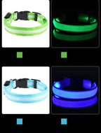 Correa LED para Perros con Collar Luminoso Seguridad Nocturna