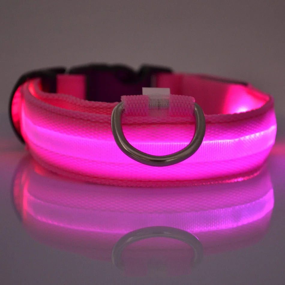 Correa LED para Perros con Collar Luminoso Seguridad Nocturna