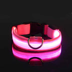 Correa LED para Perros con Collar Luminoso Seguridad Nocturna