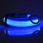 Correa LED para Perros con Collar Luminoso Seguridad Nocturna