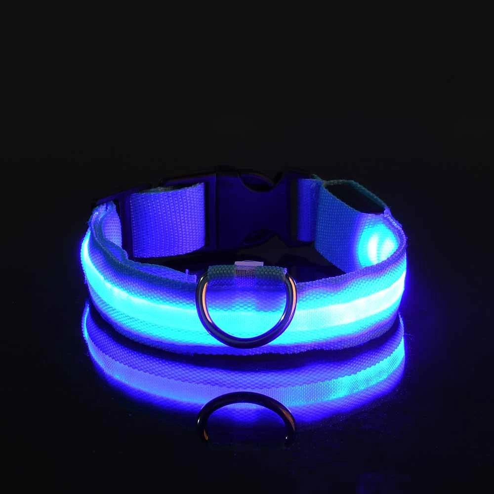 Correa LED para Perros con Collar Luminoso Seguridad Nocturna