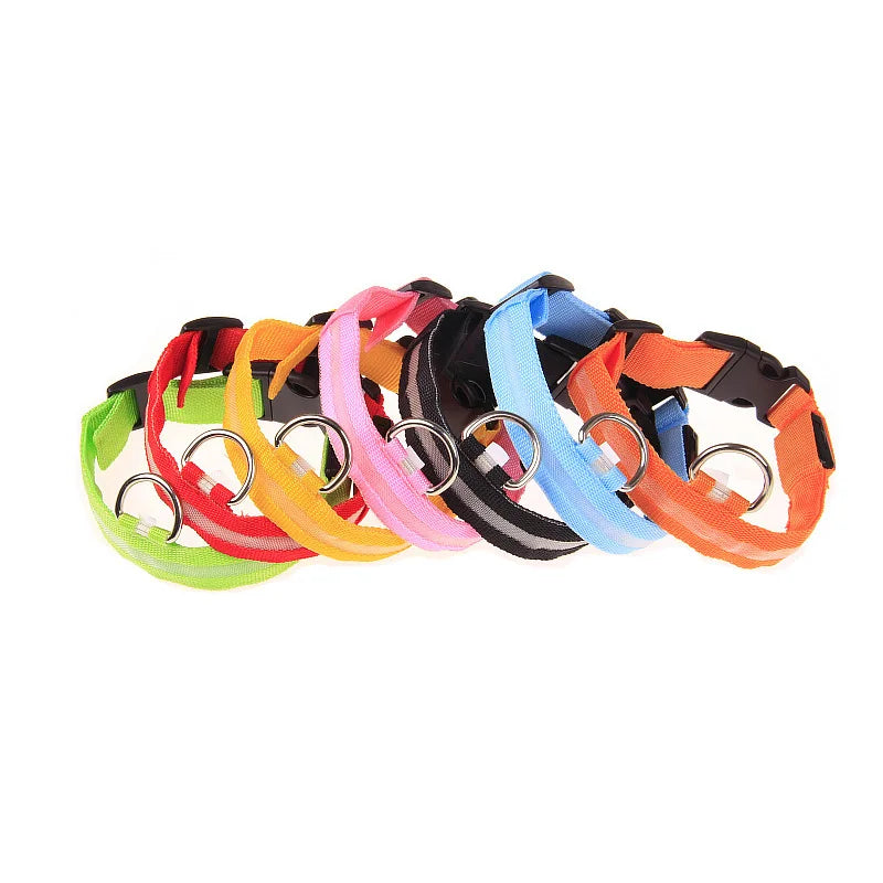 Correa LED para Perros con Collar Luminoso Seguridad Nocturna
