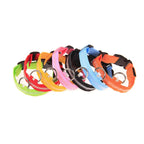 Correa LED para Perros con Collar Luminoso Seguridad Nocturna