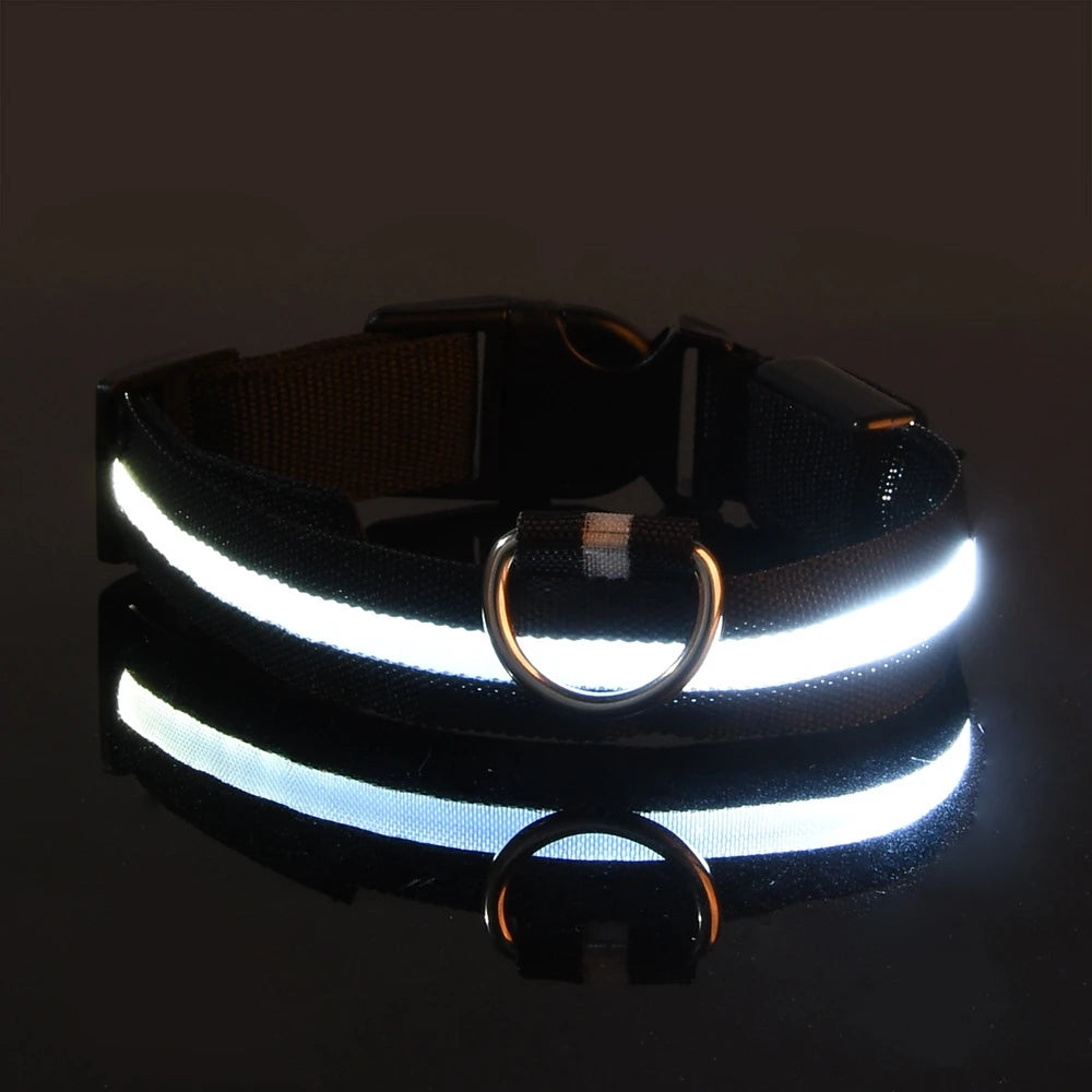 Correa LED para Perros con Collar Luminoso Seguridad Nocturna