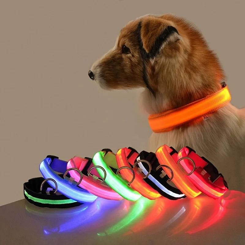 Correa LED para Perros con Collar Luminoso Seguridad Nocturna