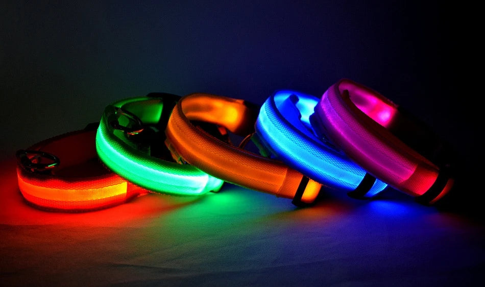 Correa LED para Perros con Collar Luminoso Seguridad Nocturna