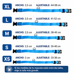 Correa LED para Perros con Collar Luminoso Seguridad Nocturna