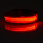 Correa LED para Perros con Collar Luminoso Seguridad Nocturna
