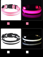 Correa LED para Perros con Collar Luminoso Seguridad Nocturna