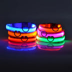 Correa LED para Perros con Collar Luminoso Seguridad Nocturna