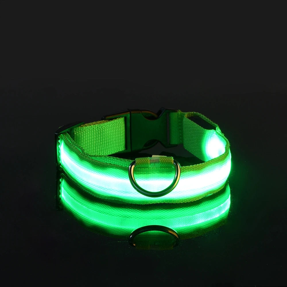 Correa LED para Perros con Collar Luminoso Seguridad Nocturna