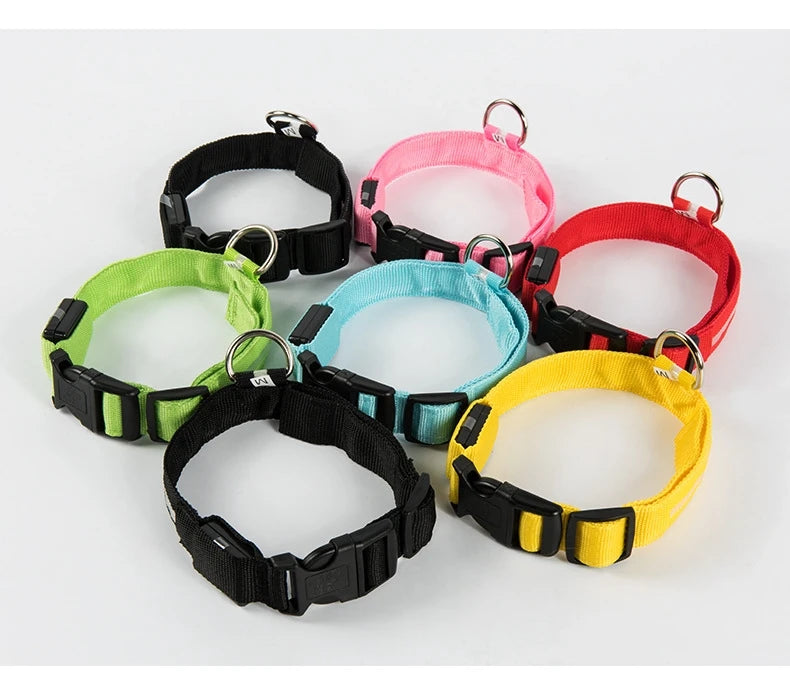 Correa LED para Perros con Collar Luminoso Seguridad Nocturna