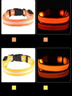 Correa LED para Perros con Collar Luminoso Seguridad Nocturna