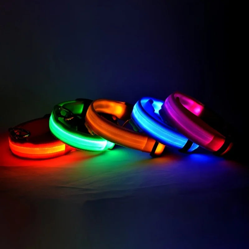 Correa LED para Perros con Collar Luminoso Seguridad Nocturna