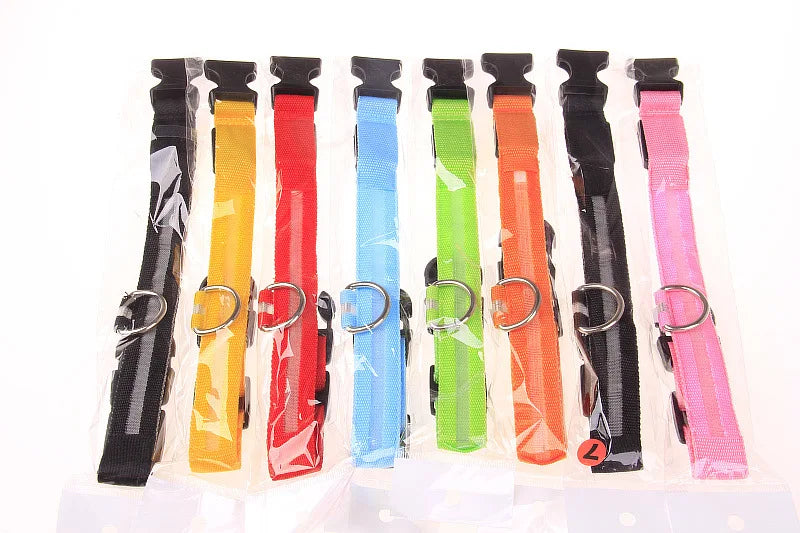Correa LED para Perros con Collar Luminoso Seguridad Nocturna