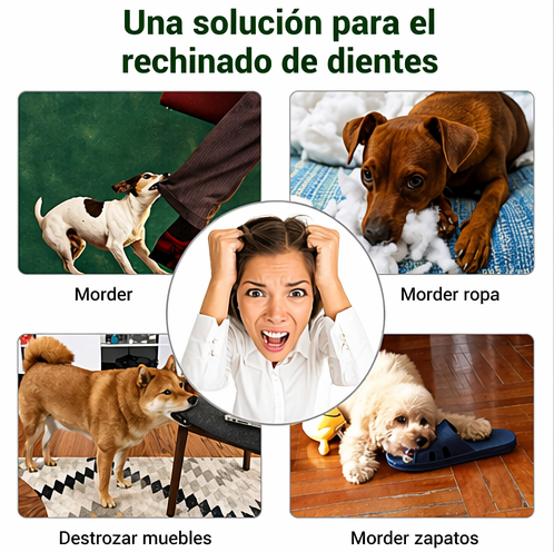 Pelota Interactiva para Perros con Dispensador de Premios Resistente y Atóxica
