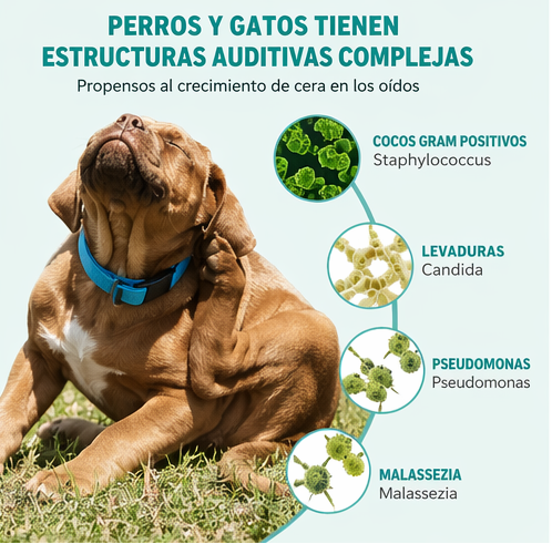 Toallitas Limpiadoras de Oídos para Mascotas Dedal Suave para Perros y Gatos